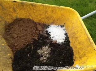 園藝小技巧：盆栽花土的改良和鬆土！